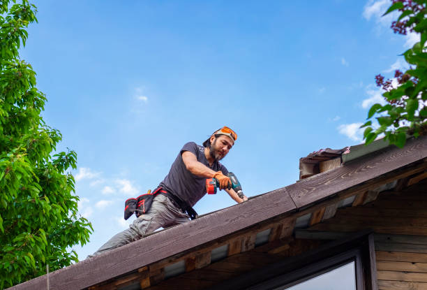 Best Storm Damage Roof Repair  in Northport, AL